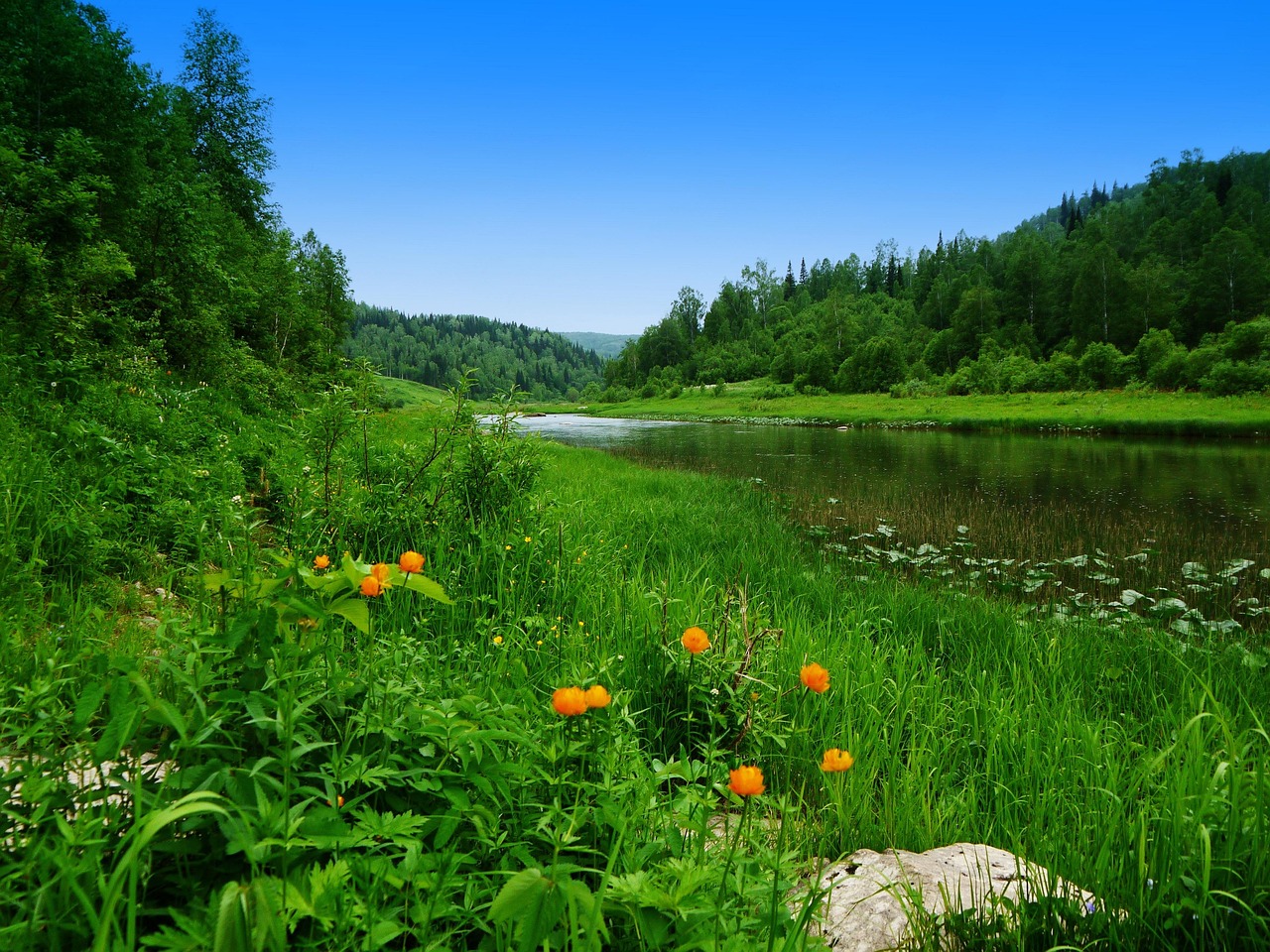 june, river, siberia, june, june, june, june, june, river, siberia, siberia