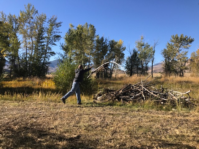National Public Lands Day 2017- Challis Bridge Day Use Project (36969110724)