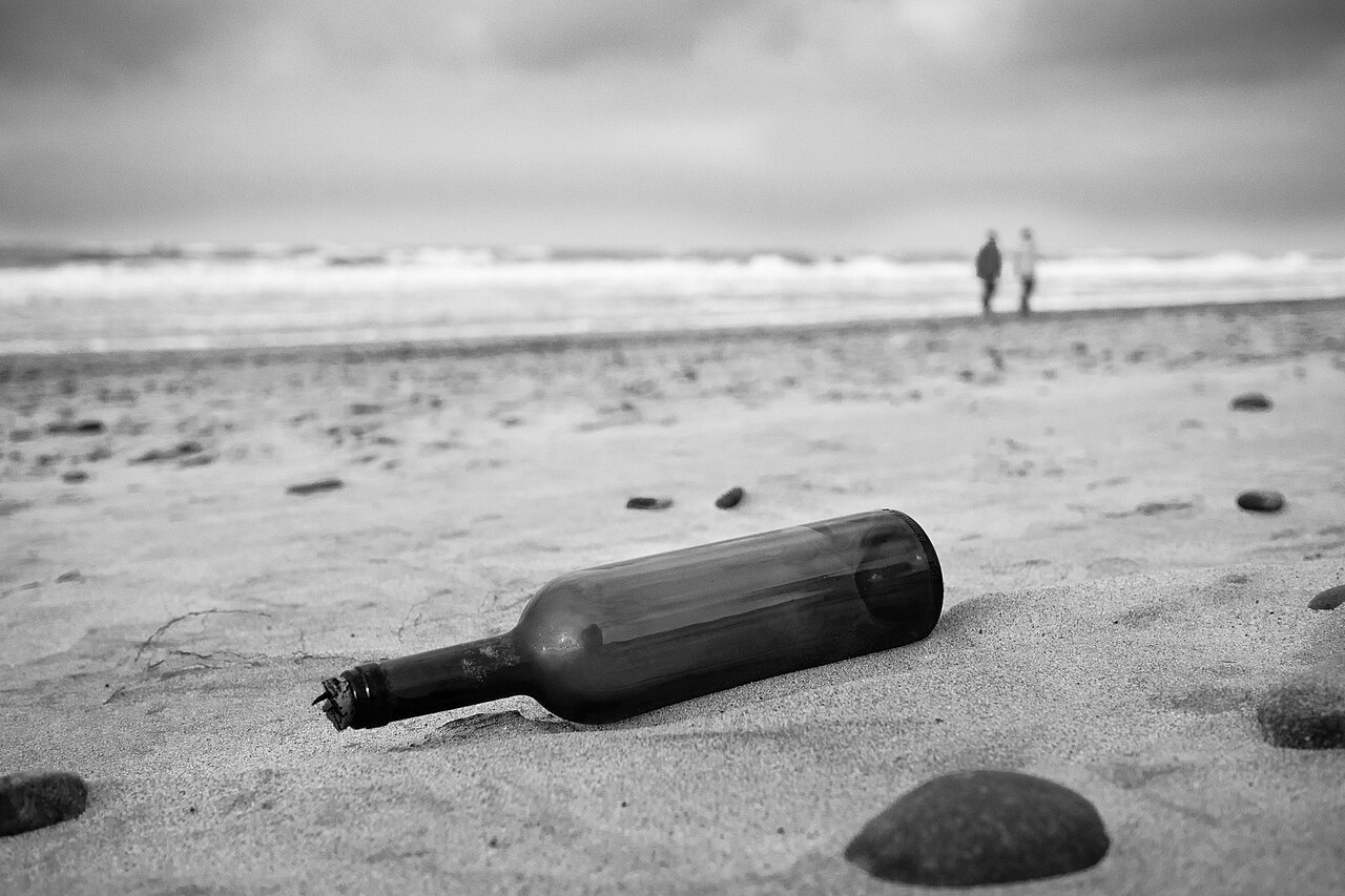 What Comes Next (93452119)
